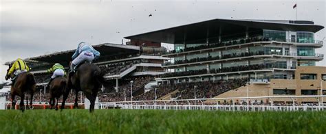 cheltenham race betting - Cheltenham festival odds 2024